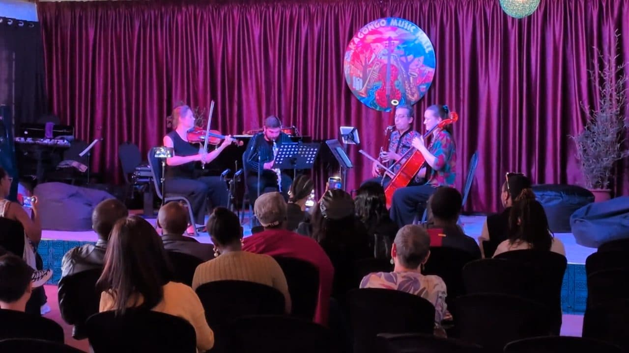 16 May 2026 - Zuri - Reeds & Strings